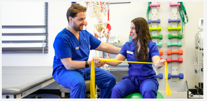 Physical Therapy Schools and Alumni Networks