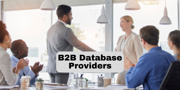 B2B Database Providers