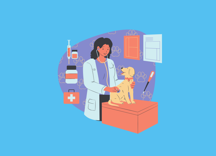 veterinarian marketing strategies