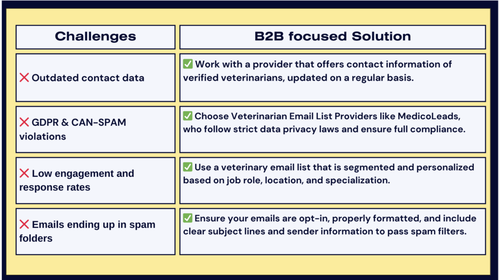 Common Challenges and B2B-Focused Solutions