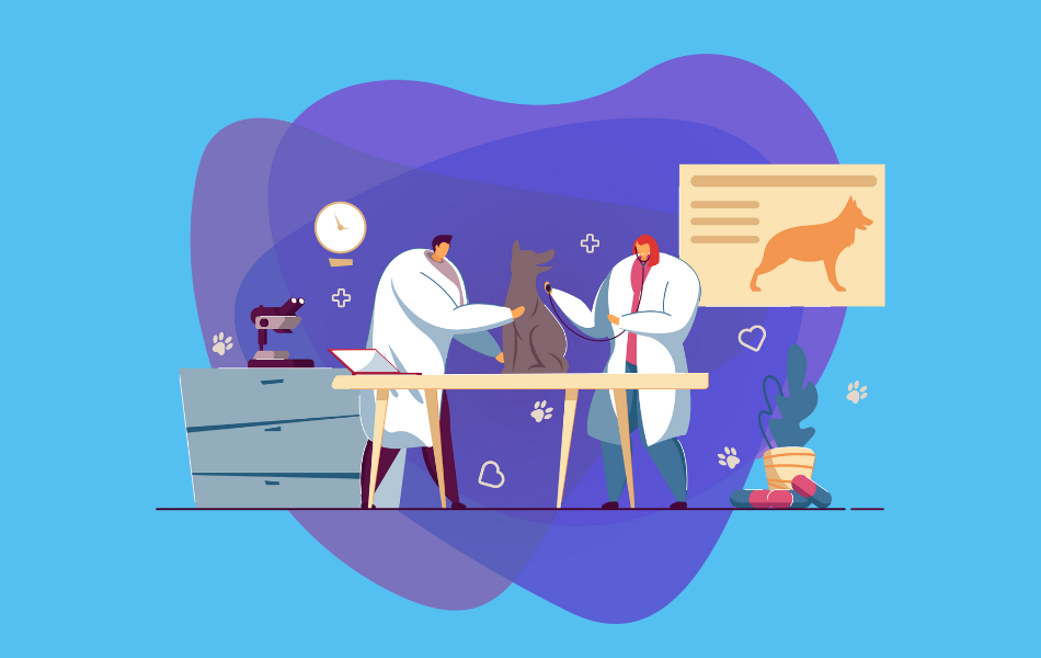 Veterinarian Email Addresses Lists