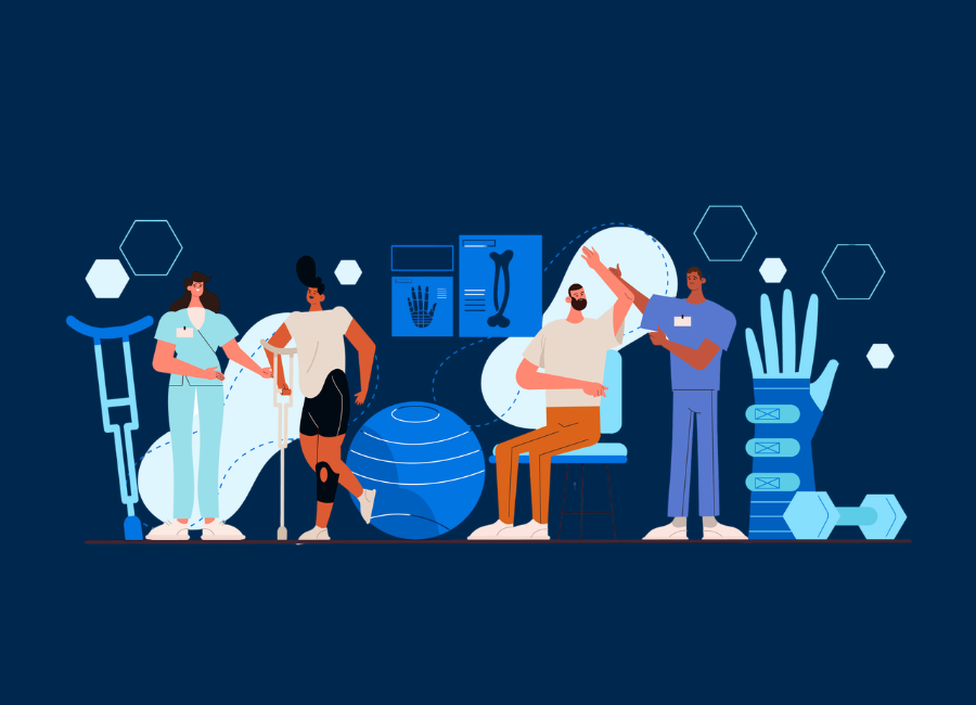 Physical Therapists in the USA